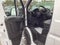 2023 RAM ProMaster Cargo Van 1500 Low Roof 136" WB