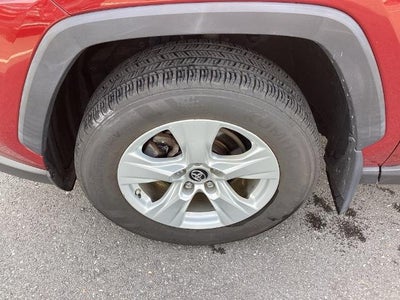 2019 Toyota RAV4 XLE AWD (Natl)