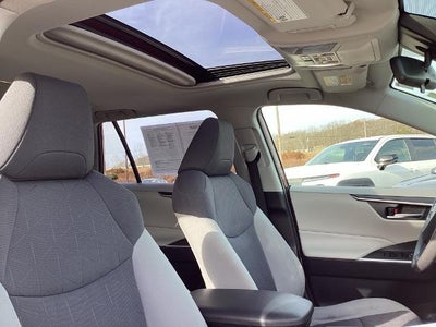 2019 Toyota RAV4 XLE AWD (Natl)