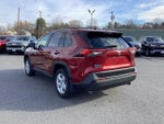 2019 Toyota RAV4 XLE AWD (Natl)