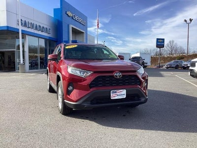 2019 Toyota RAV4 XLE AWD (Natl)